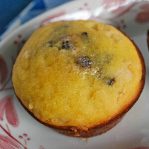 a coconut flour muffin with chocolate chips