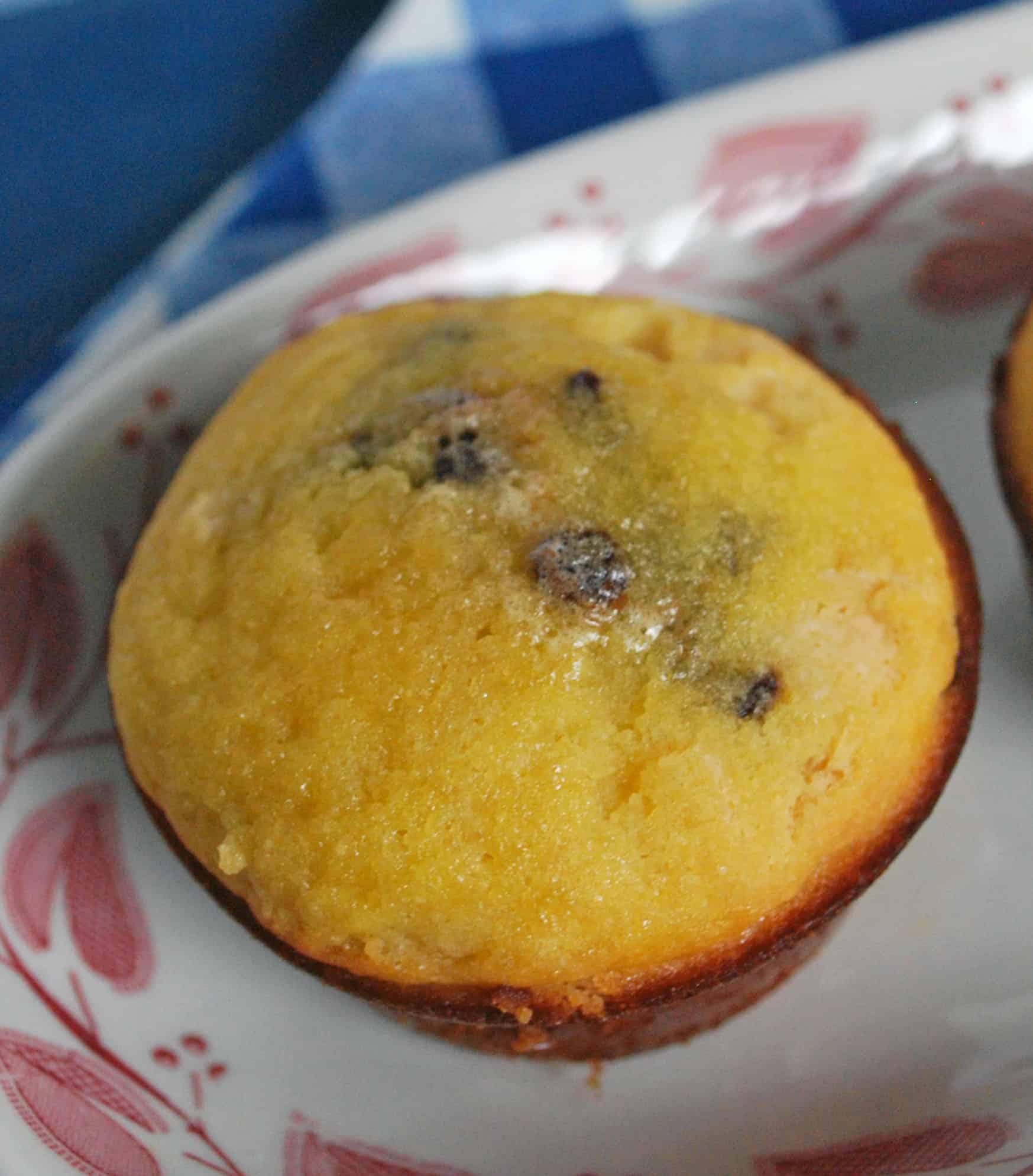 CoconutFlourMuffinChocChip Coconut Flour Chocolate Chip Muffin