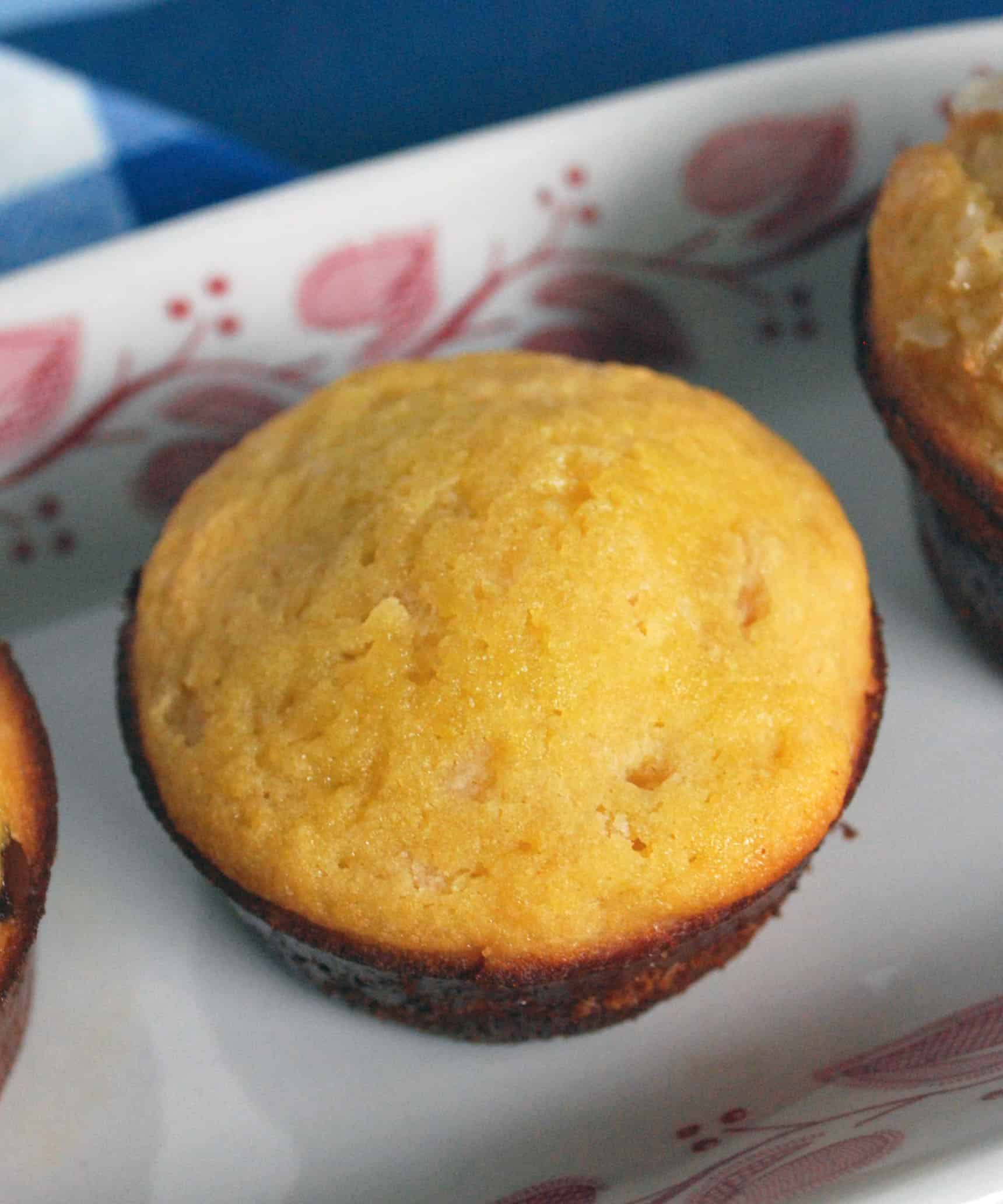 CoconutFlourMuffinPlain Coconut Flour Muffin on a white plate with a red vine border