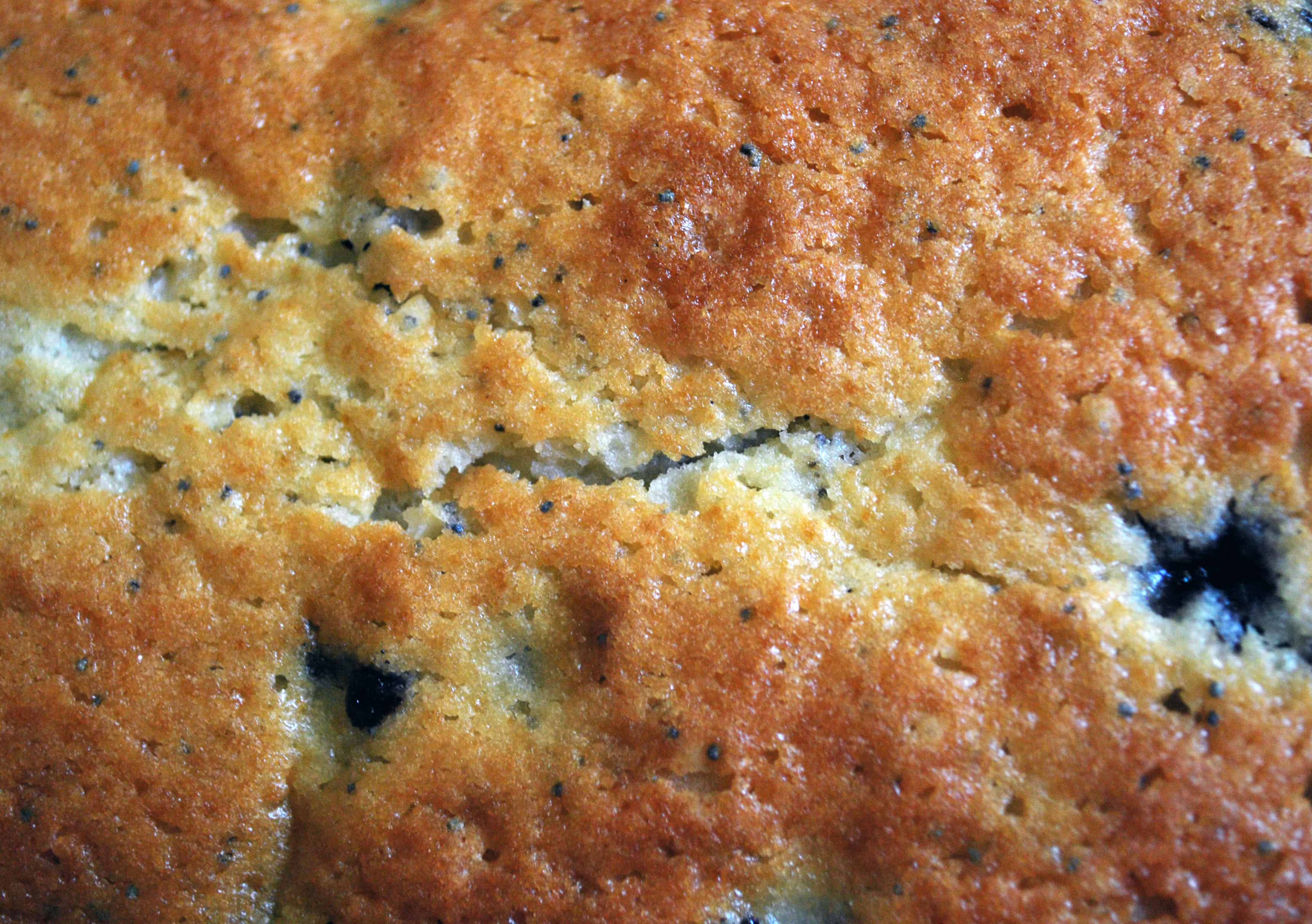 Blueberry Poppy Seed Loaf