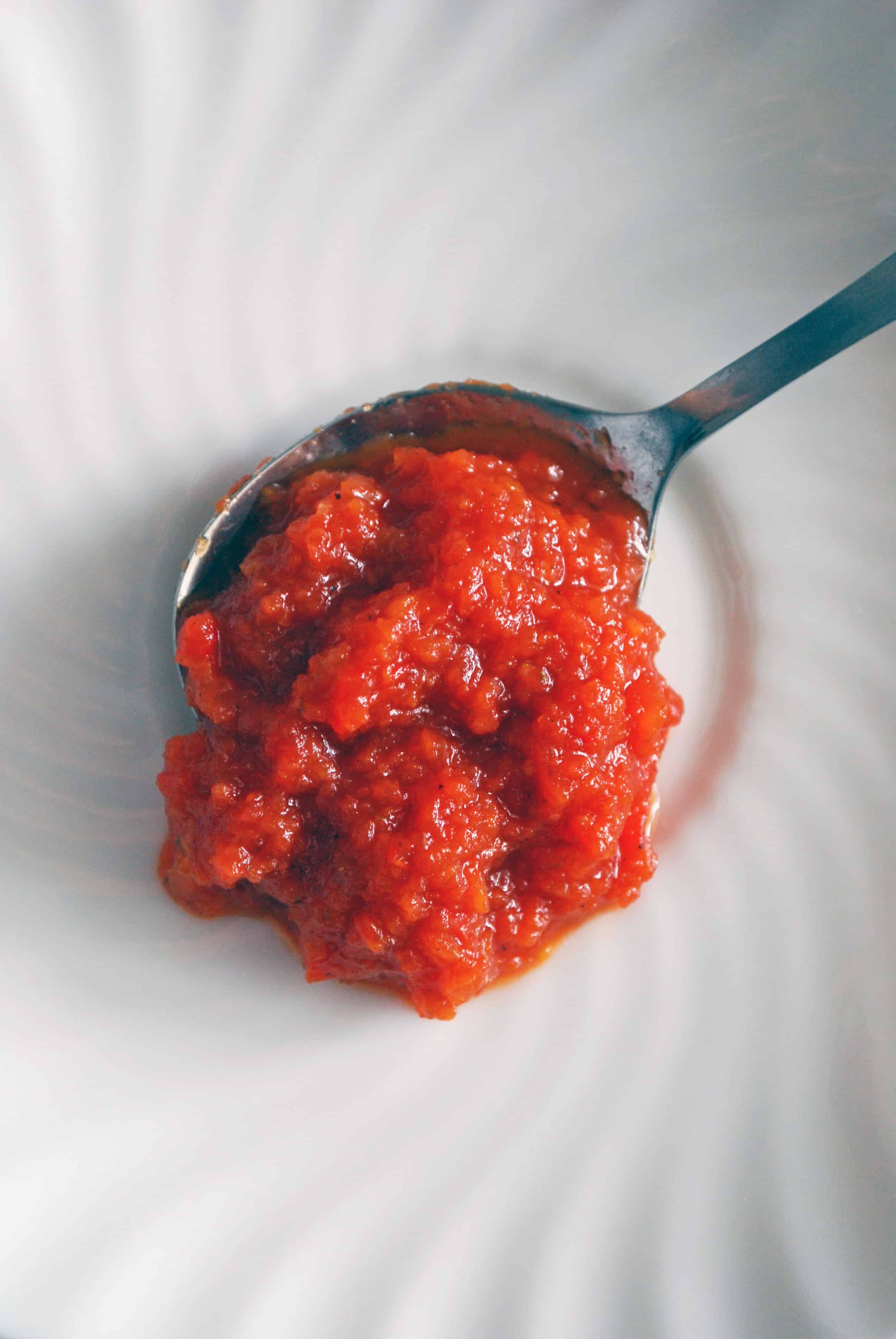 Veggie Pizza Sauce on a spoon
