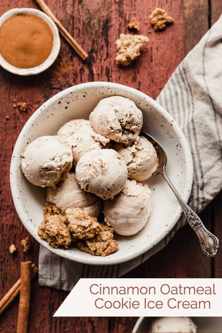 Cinnamon Oatmeal Cookie Ice Cream The LiveIn Kitchen