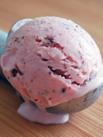 Strawberry Chocolate Chip Frozen Yogurt in an ice cream scoop