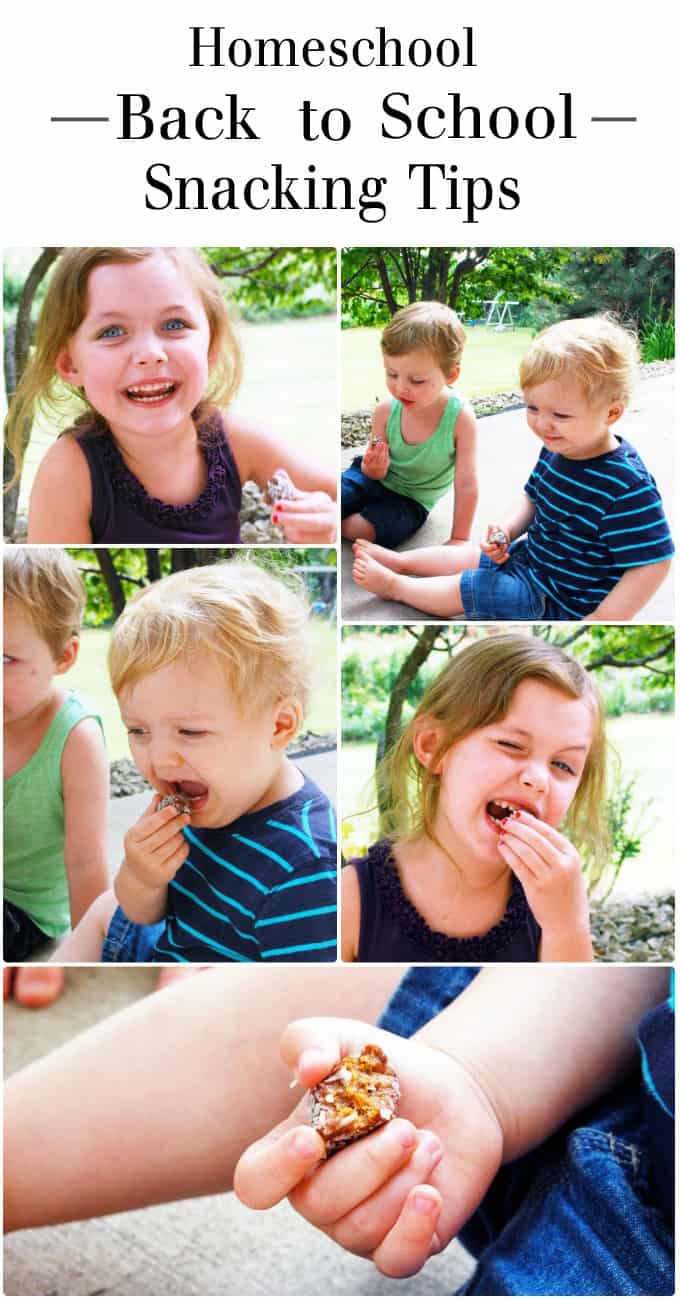 Homeschool Back to School Snacking Tips! www.theliveinkitchen.com
