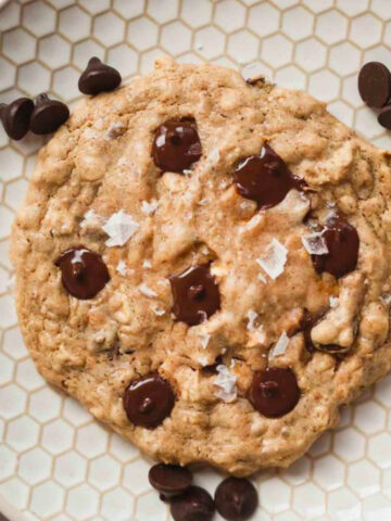 vegan chocolate chip cookie on plate .