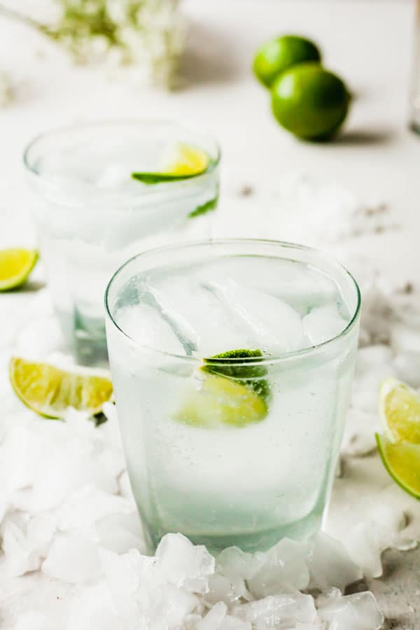 Gin and Tonic Recipe The LiveIn Kitchen