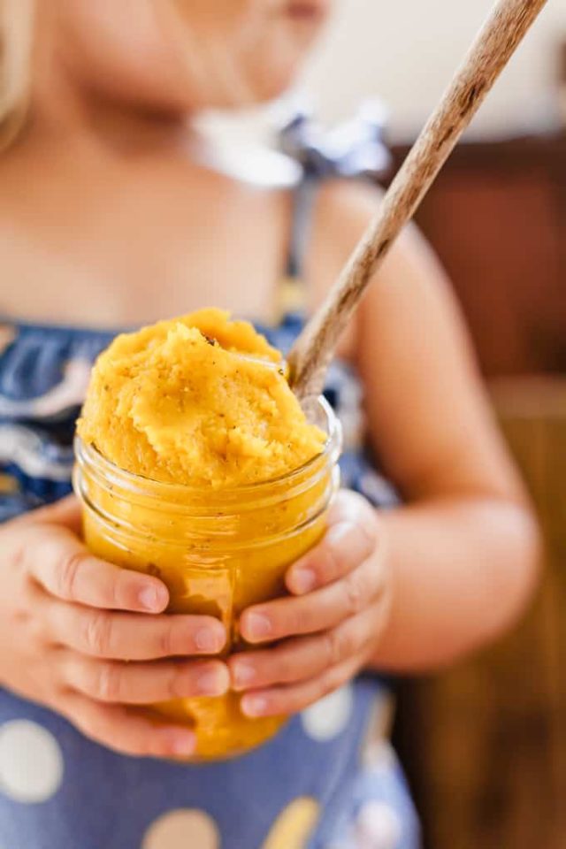 Butternut Squash Puree - The Live-In Kitchen