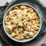 a bowl of cooked pasta shells with olive oil alfredo sauce