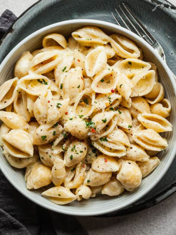 a bowl of cooked pasta shells with olive oil alfredo sauce