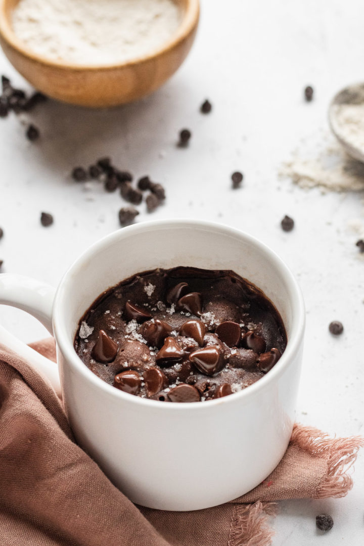 Vegan Mug Brownie 2 Minutes! The LiveIn Kitchen Vegan Mug Brownie 2 Minutes! The LiveIn Kitchen