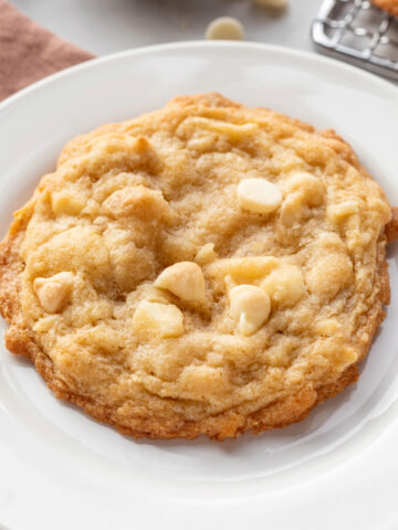 One white chocolate macadamia nut cookie on a white plate.