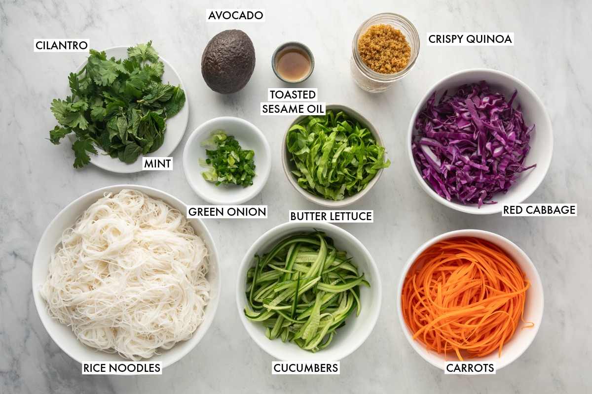 Ingredients used to make spring roll salad.